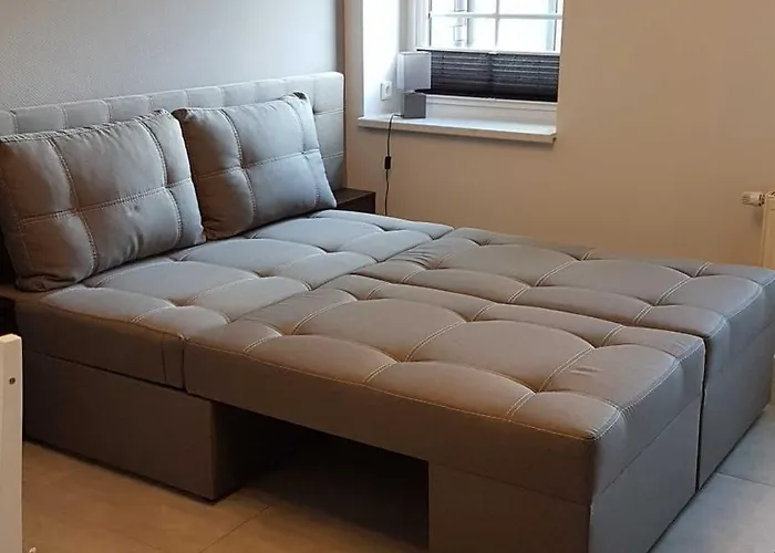 Zum Schwandter アパート